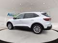Ford Kuga FHEV Titanium CVT 4WD Weiß - thumbnail 6