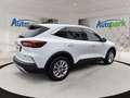 Ford Kuga FHEV Titanium CVT 4WD Weiß - thumbnail 8
