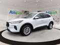 Ford Kuga FHEV Titanium CVT 4WD Weiß - thumbnail 1