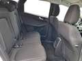 Ford Kuga FHEV Titanium CVT 4WD Weiß - thumbnail 18