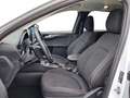 Ford Kuga FHEV Titanium CVT 4WD Weiß - thumbnail 16