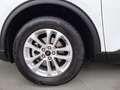 Ford Kuga FHEV Titanium CVT 4WD Weiß - thumbnail 11
