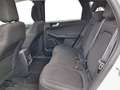Ford Kuga FHEV Titanium CVT 4WD Weiß - thumbnail 17