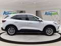Ford Kuga FHEV Titanium CVT 4WD Weiß - thumbnail 5