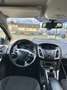 Ford Focus Trend 1,6Ti-VCT Pickerl Frisch - thumbnail 8