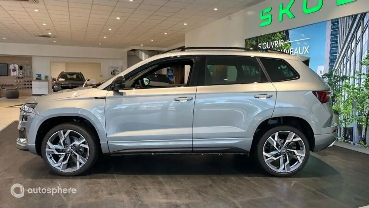 Skoda Karoq 2026 — фото 8