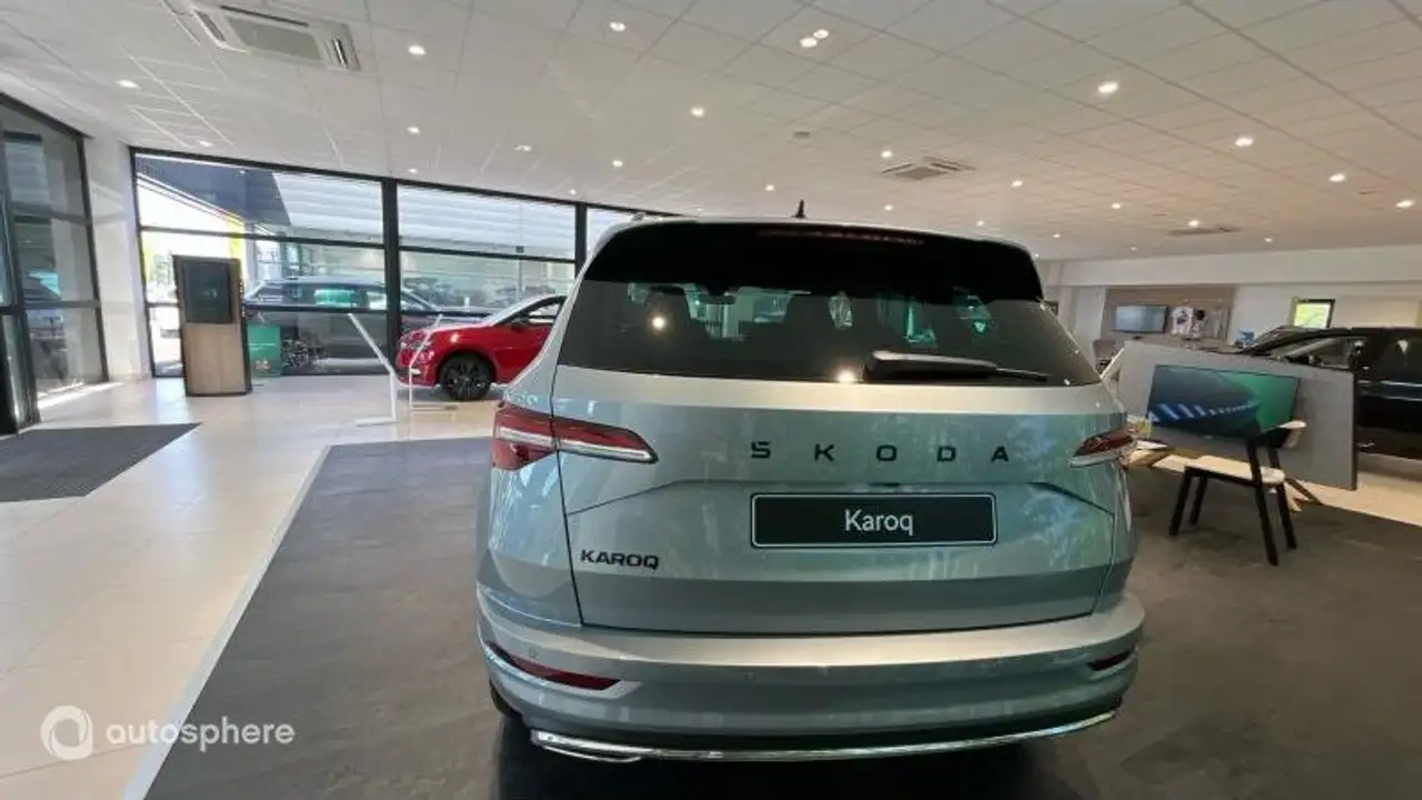 Skoda Karoq 2026 — фото 6