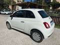 Fiat 500 500 1.0 Hybrid Cult Blanc - thumbnail 4