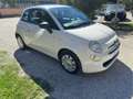 Fiat 500 500 1.0 Hybrid Cult Blanc - thumbnail 3