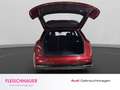 Audi Q5 50 TDI quattro LED+ACC+NAVI+RFK+SHZ+STDHZ+LEDER Rot - thumbnail 16