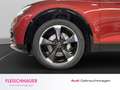 Audi Q5 50 TDI quattro LED+ACC+NAVI+RFK+SHZ+STDHZ+LEDER Rot - thumbnail 6
