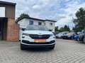 Skoda Karoq Ambition  Automatik  Sitzh.  AHK Wit - thumbnail 3