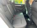 Skoda Karoq Ambition  Automatik  Sitzh.  AHK Wit - thumbnail 12