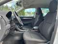 Skoda Karoq Ambition  Automatik  Sitzh.  AHK Wit - thumbnail 17