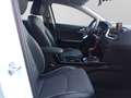 Kia XCeed Vision 1.0  T-GDI JULI-Aktion NAVI KLIMA SHZ Weiß - thumbnail 9
