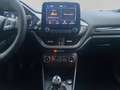 Ford Fiesta ST-Line 5-türig Grau - thumbnail 13