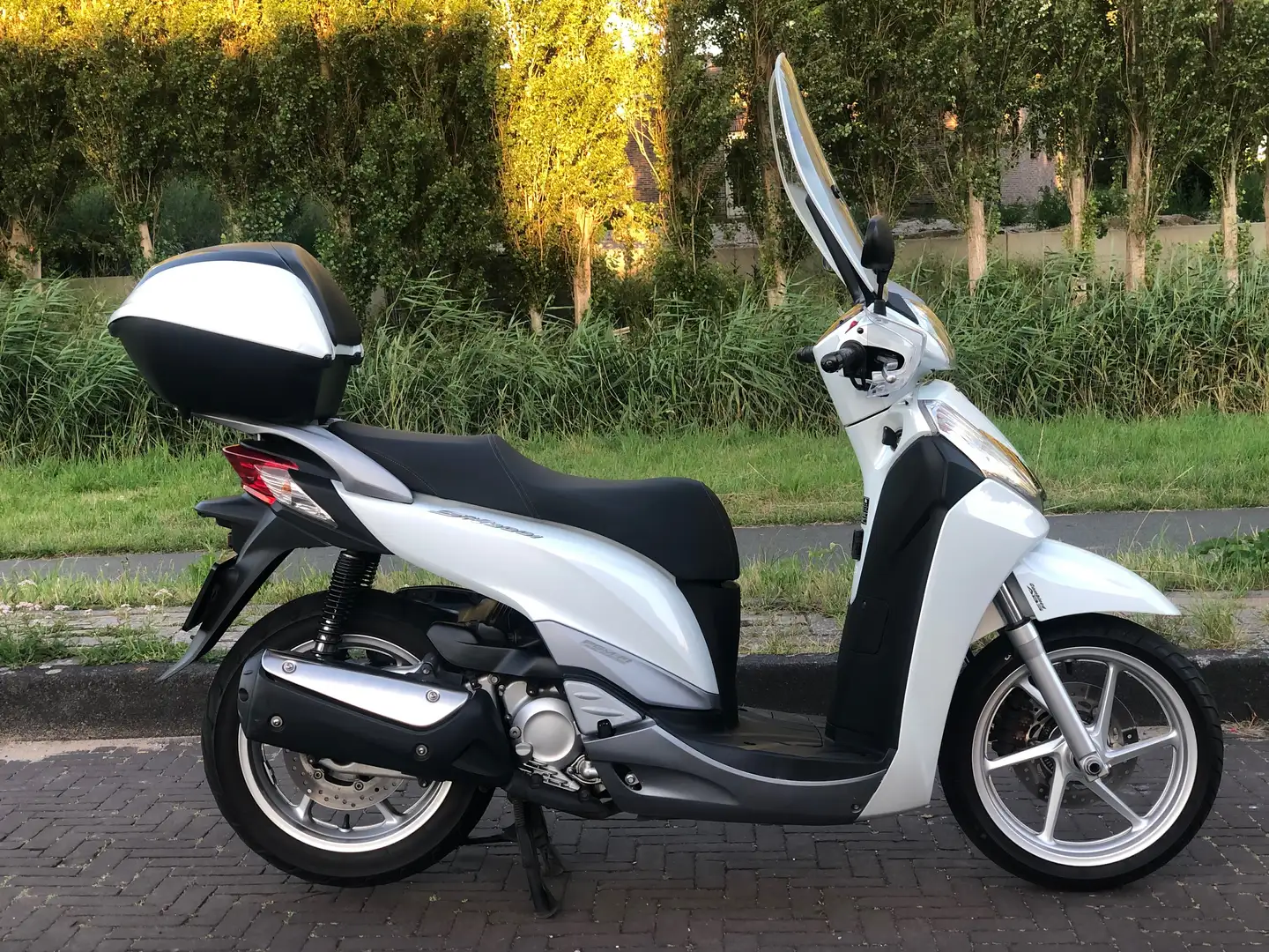 Honda SH 300 Sh300i ABS SH 300 Wit - 2