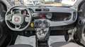 Fiat Panda 1.0cc 69cv HYBRID Nero - thumbnail 6