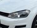 Volkswagen Golf Trendline Sitzheizung. Klimaanlage Blanco - thumbnail 8