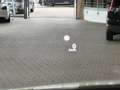 Nissan Qashqai 1,3 l Mild-Hybrid Autom.TeknaPano Bose Wit - thumbnail 21