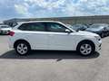 Skoda Kamiq 1,6 TDI Active DSG Weiß - thumbnail 4