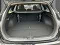 Kia Ceed SW / cee'd SW Ultimate Edition 1.5T Mild-Hybrid DCT Style-Paket Schwarz - thumbnail 7
