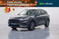 Ford Kuga 2.5 Duratec PHEV ST-Line X 4x2 Gris - thumbnail 1