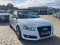 Audi A3 Cabriolet Ambition+KLIMA+NAVI+SHZG+BI-XENON Blanc - thumbnail 6
