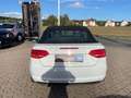 Audi A3 Cabriolet Ambition+KLIMA+NAVI+SHZG+BI-XENON Blanc - thumbnail 12