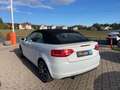 Audi A3 Cabriolet Ambition+KLIMA+NAVI+SHZG+BI-XENON Blanc - thumbnail 13