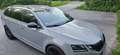 Skoda Octavia Octavia Combi 2.0 TDI 4x4 DSG Scout Grau - thumbnail 3
