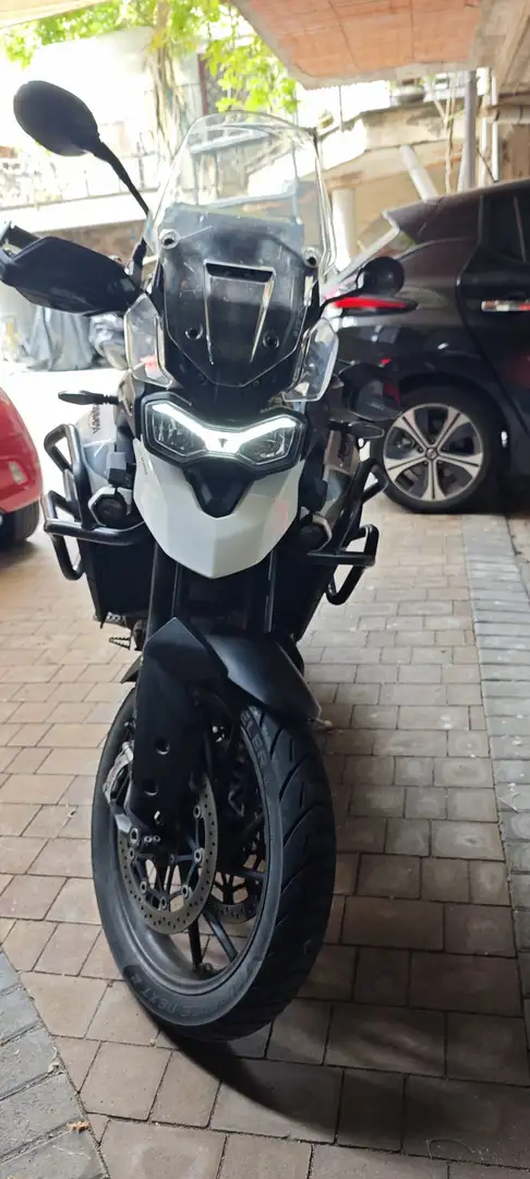 Triumph Tiger 900 GT PRO Blanc - 1