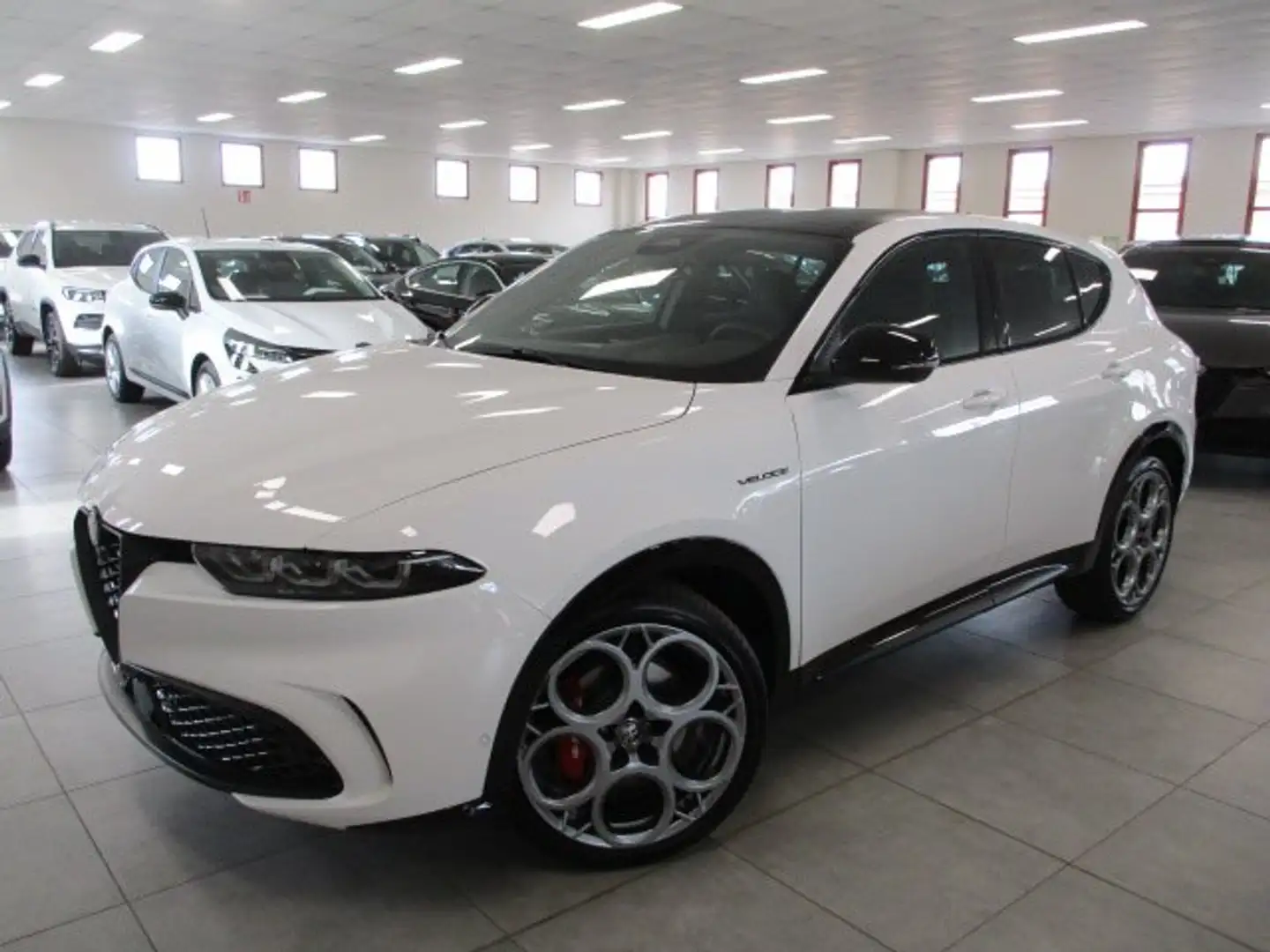 Alfa Romeo Tonale 1.6 Veloce 130cv tct6 - KM0 Weiß - 1
