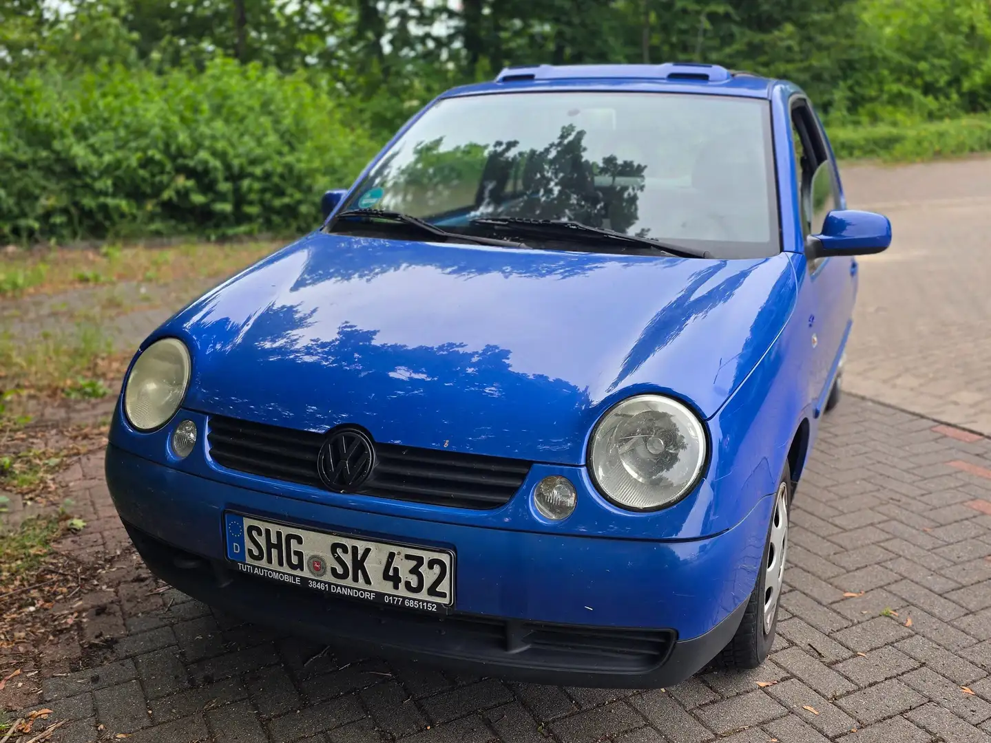 Volkswagen Lupo Lupo 1.0 College Azul - 1