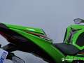 Kawasaki Ninja ZX-6R 636 2024 124 CV Verde - thumbnail 7