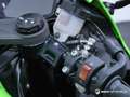 Kawasaki Ninja ZX-6R 636 2024 124 CV Verde - thumbnail 19