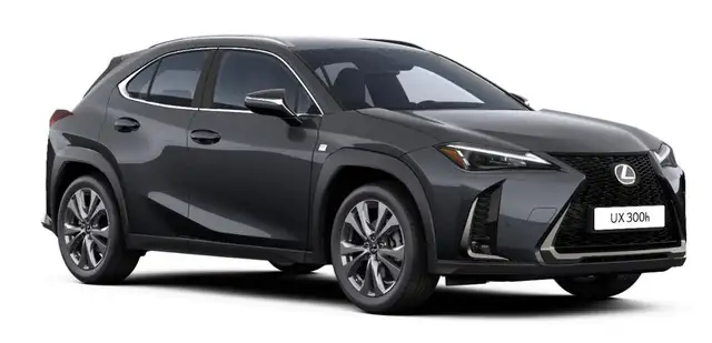Lexus UX 300h F Sport Design Klima Kamera Sitzhzg