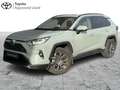Toyota RAV 4 2.5 Hybrid Dynamic Plus Grün - thumbnail 1