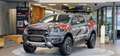Ford Sonstige Raptor 4x4 Aut. *Dachzelt mit Vorzelt*Kamera*Stand Schwarz - thumbnail 8
