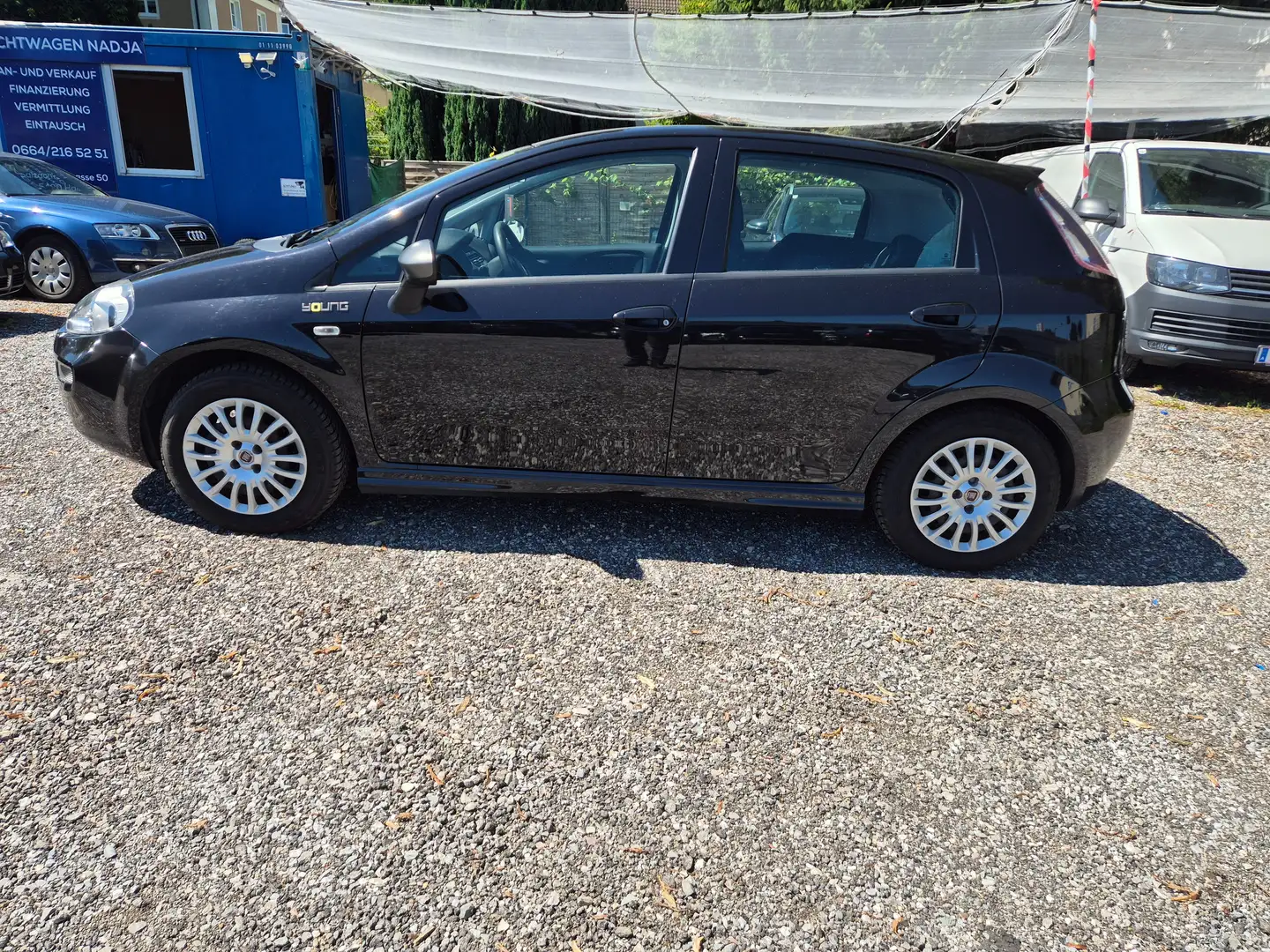 Fiat Punto Young Noir - 2