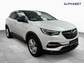 Opel Grandland 1.5 D Business Edition AHK ACC BLIS Weiß - thumbnail 6