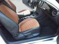 Volkswagen Beetle Cabriolet Exclusive Sport bijela - thumbnail 13