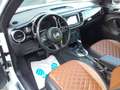 Volkswagen Beetle Cabriolet Exclusive Sport bijela - thumbnail 9