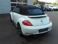 Volkswagen Beetle Cabriolet Exclusive Sport bijela - thumbnail 7