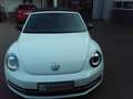 Volkswagen Beetle Cabriolet Exclusive Sport bijela - thumbnail 4
