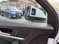 Audi Q5 Q5 2.0 TDI 190 CV quattro S-LINE .VIRTUAL.RETROCAM Bianco - thumbnail 14