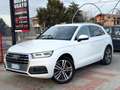 Audi Q5 Q5 2.0 TDI 190 CV quattro S-LINE .VIRTUAL.RETROCAM Bianco - thumbnail 2