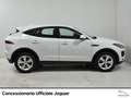 Jaguar E-Pace 2.0d i4 r-dynamic hse awd 150cv auto my19 Blanc - thumbnail 5