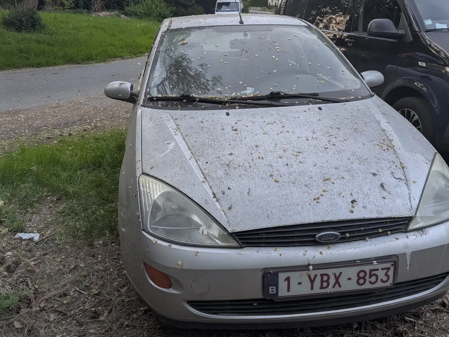 Ford Focus Focus Ambiente Gri - 2