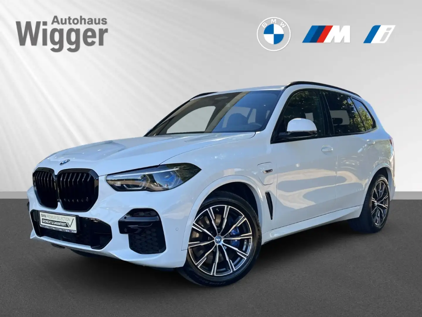 BMW X5 45e M Sport/HUD/AHK/Panoramadach/Navi/Leder Blanc - 1